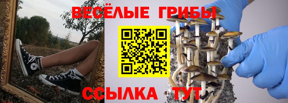 Псилоцибиновые грибы Magic Shrooms  Вход с VPN  Нижнеудинск 